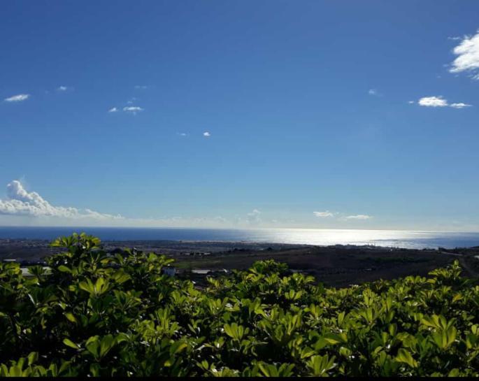 The Black Horse Canarias - Adults Only Landhuis